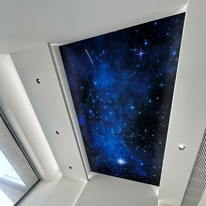 Spesonic stjernehimmel skinnende dekoration perfekt til børneværelses sengeværelsesgaver Spesonic stjernehimmel skinnende dekoration perfekt til børneværelses sengeværelsesgaver